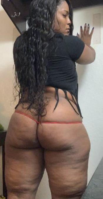 3142030544, female escort, Miami