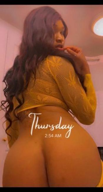 5042783771, female escort, Miami
