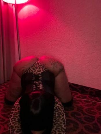 3046033930, female escort, Miami