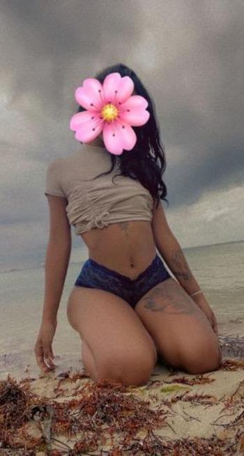 7869453295, female escort, Miami