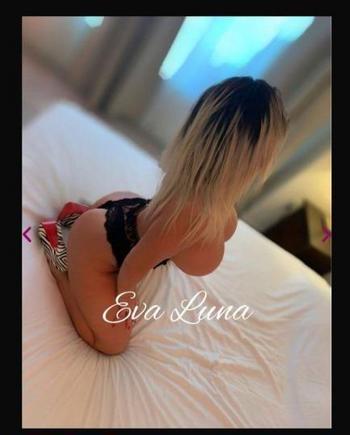 7864356278, female escort, Miami